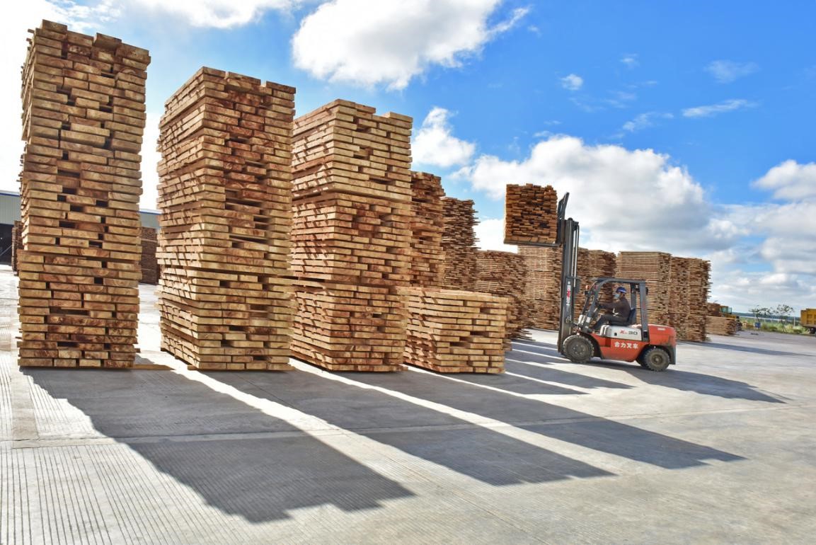 1689734293168027645.jpg 1689734293168027645.jpg