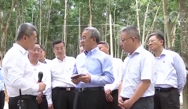 ������ʱ - �������ǲ�!