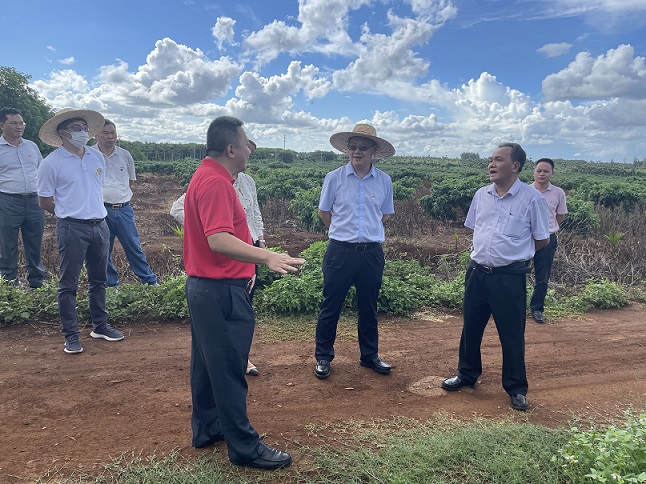 ������ʱ - �������ǲ�!