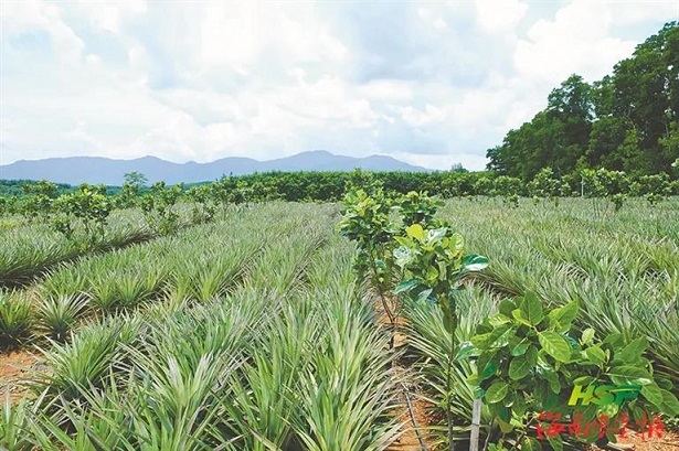 ������ʱ - �������ǲ�!