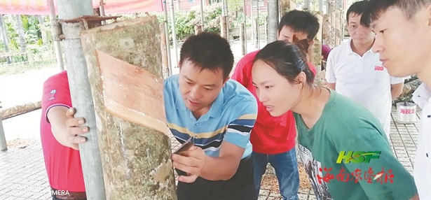 ������ʱ - �������ǲ�!