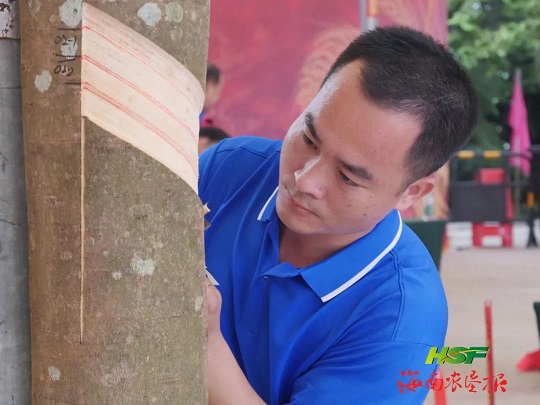 ������ʱ - �������ǲ�!