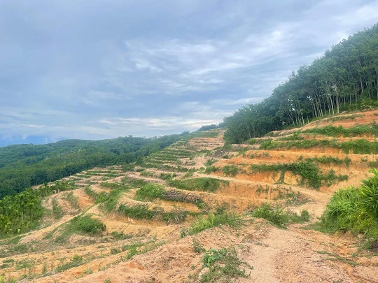 ������ʱ - �������ǲ�!