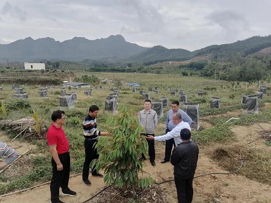 ������ʱ - �������ǲ�!