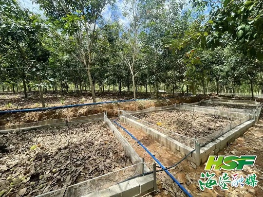 ������ʱ - �������ǲ�!