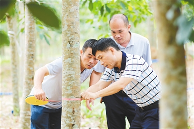 ������ʱ - �������ǲ�!