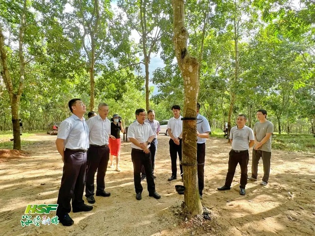 ������ʱ - �������ǲ�!