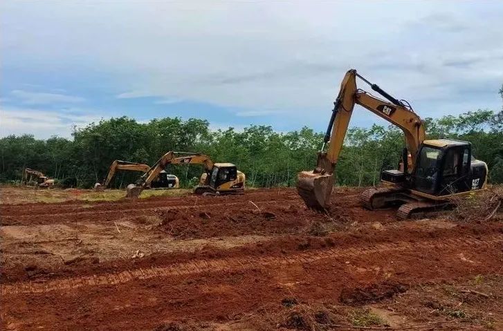 ×ðÁú¿Ê± - ÈËÉú¾ÍÊDz«!