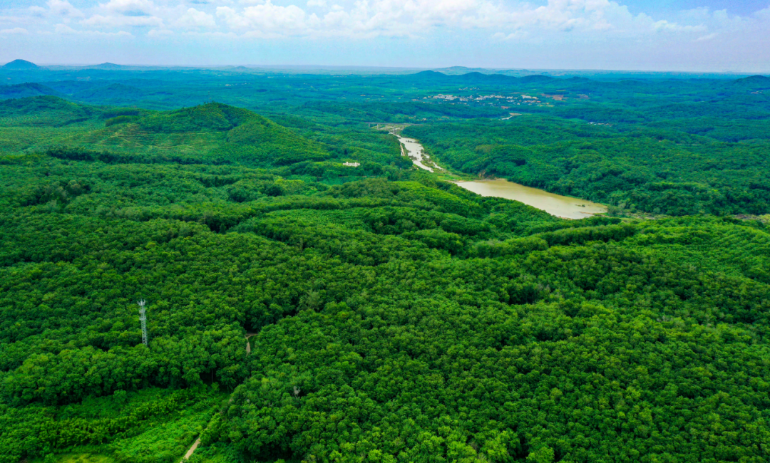 ������ʱ - �������ǲ�!