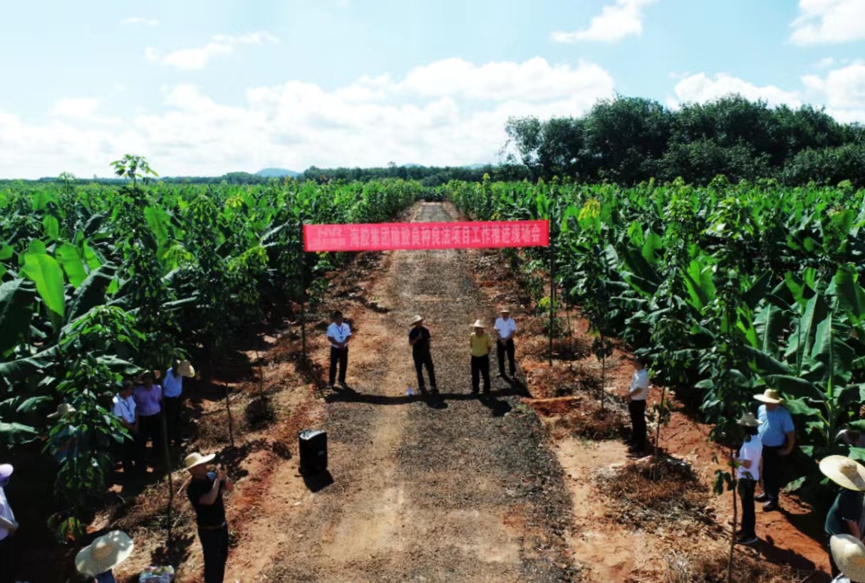 ������ʱ - �������ǲ�!