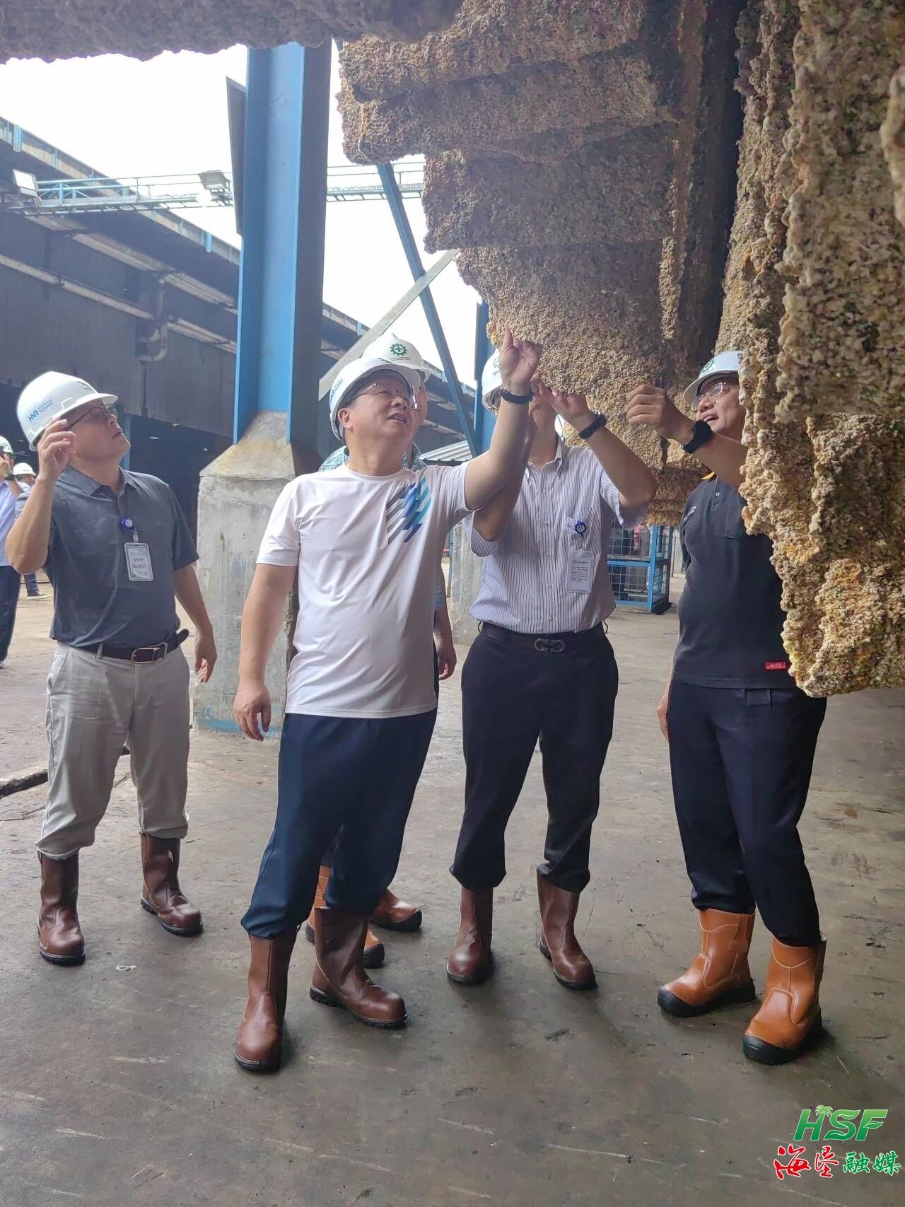 ������һ�е��к�ʢũҵSGO�ӹ�������������